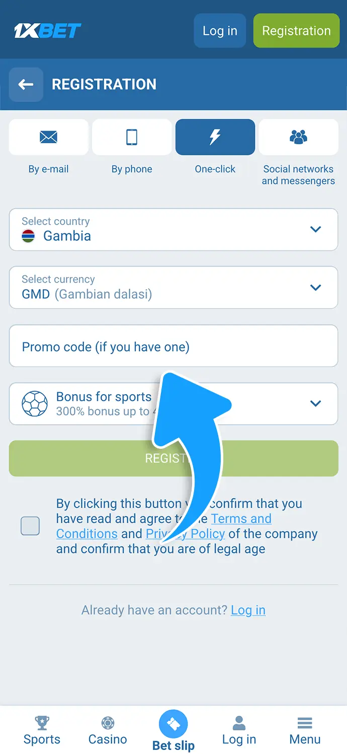 Find the promo code field and type